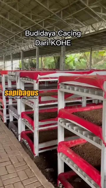 Pemanfaatan-Limbah-KOHE---Budidaya-Cacing